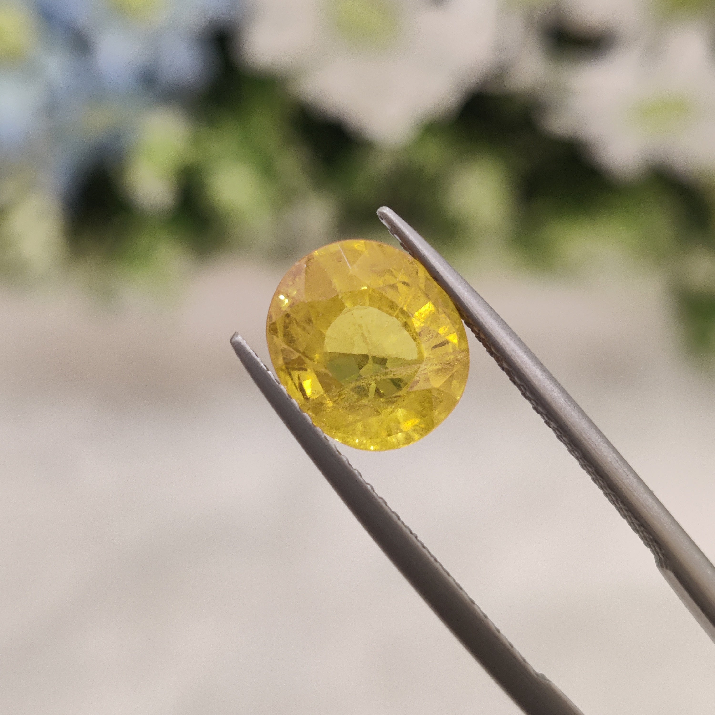 Yellow Sapphire | YS 196 | 4.38 Carat