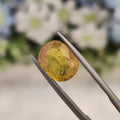 Yellow Sapphire | YS 113 | 4.66 Carat