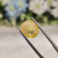 Yellow Sapphire | YS 8 | 4.62 Carat