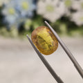 Yellow Sapphire | YS 193 | 4.97 Carat