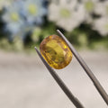 Yellow Sapphire | YS 151 | 4.9 Carat