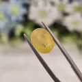Yellow Sapphire | YS 219 | 4.19 Carat