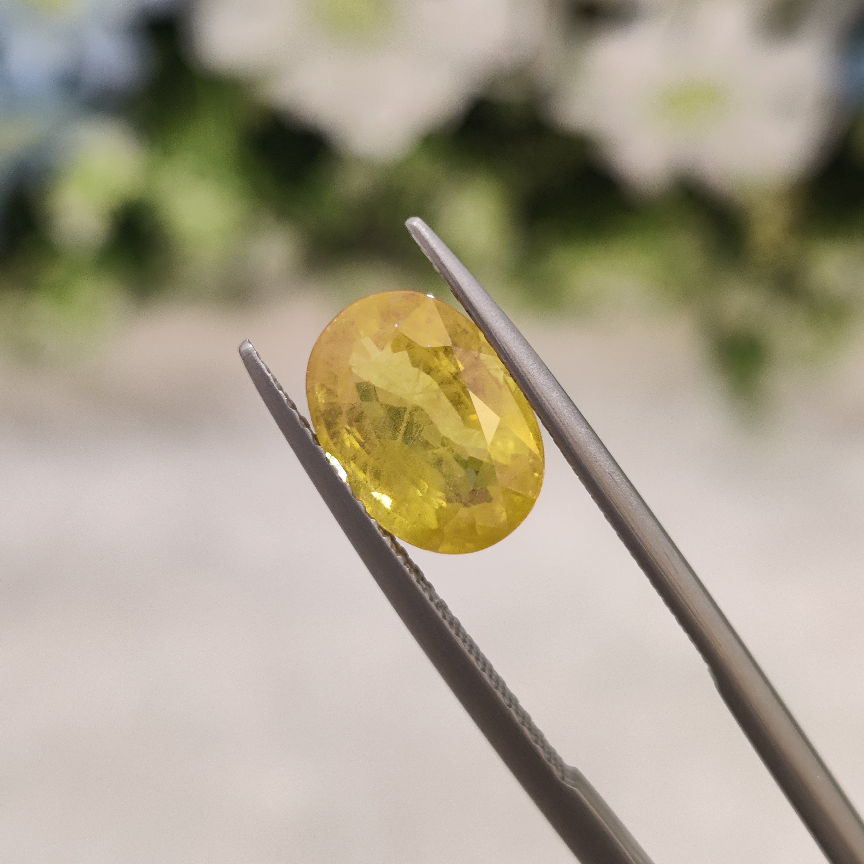 Yellow Sapphire | YS 212 | 4.2 Carat