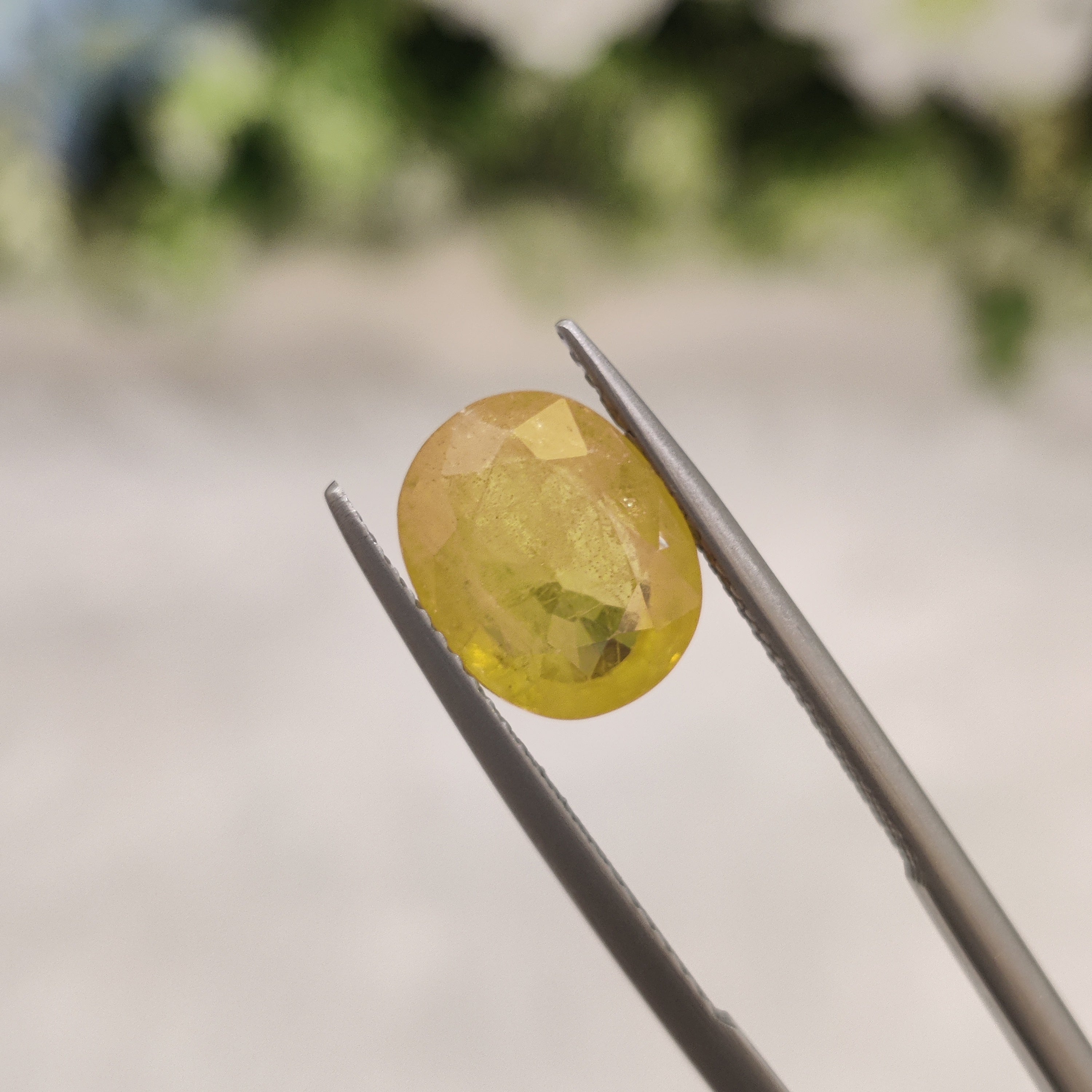 Yellow Sapphire | YS 6 | 4.28 Carat