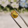 Yellow Sapphire | YS 169 | 4.57 Carat
