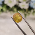 Yellow Sapphire | YS 76 | 4.93 Carat