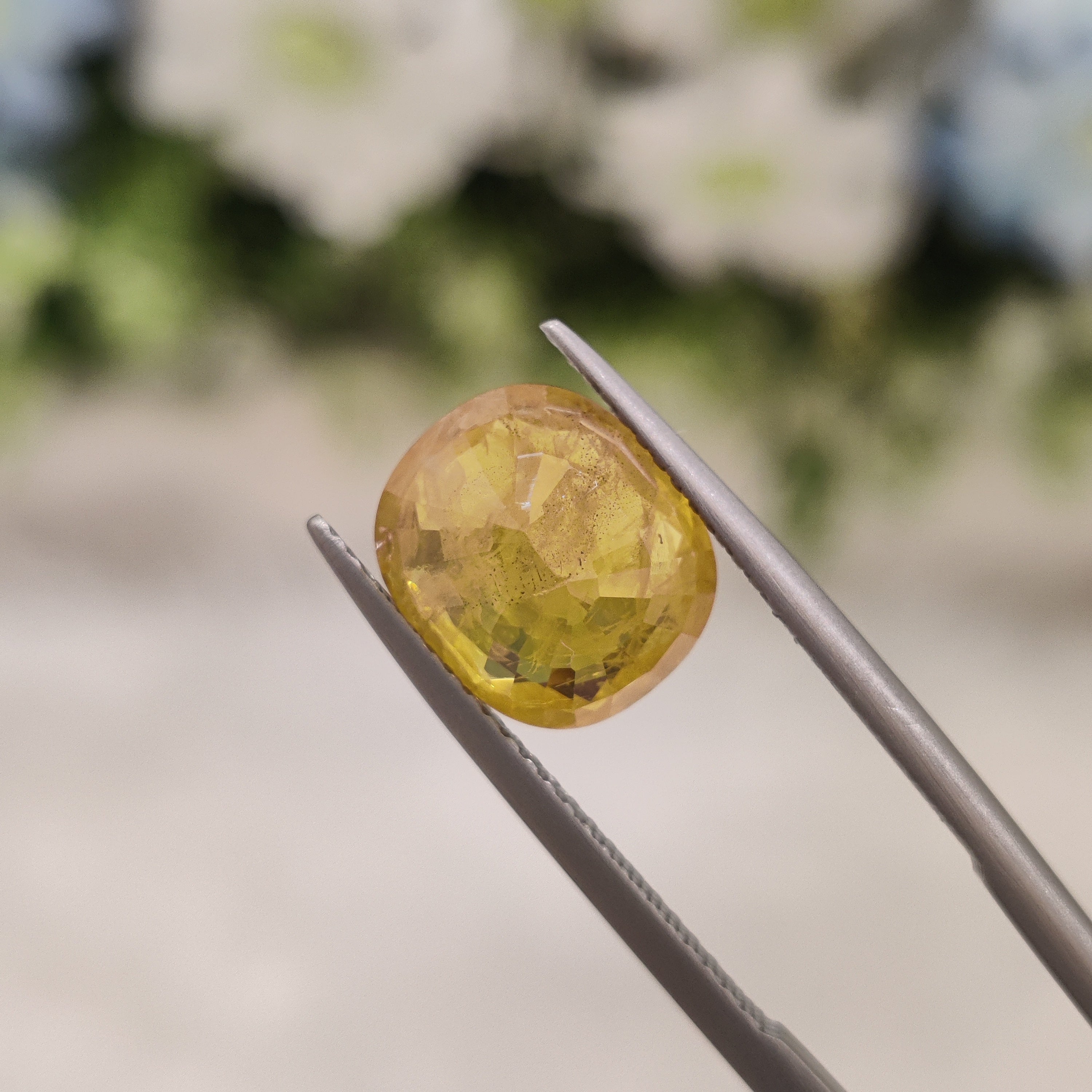 Yellow Sapphire | YS 76 | 4.93 Carat