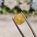 Yellow Sapphire | YS 41 | 4.42 Carat