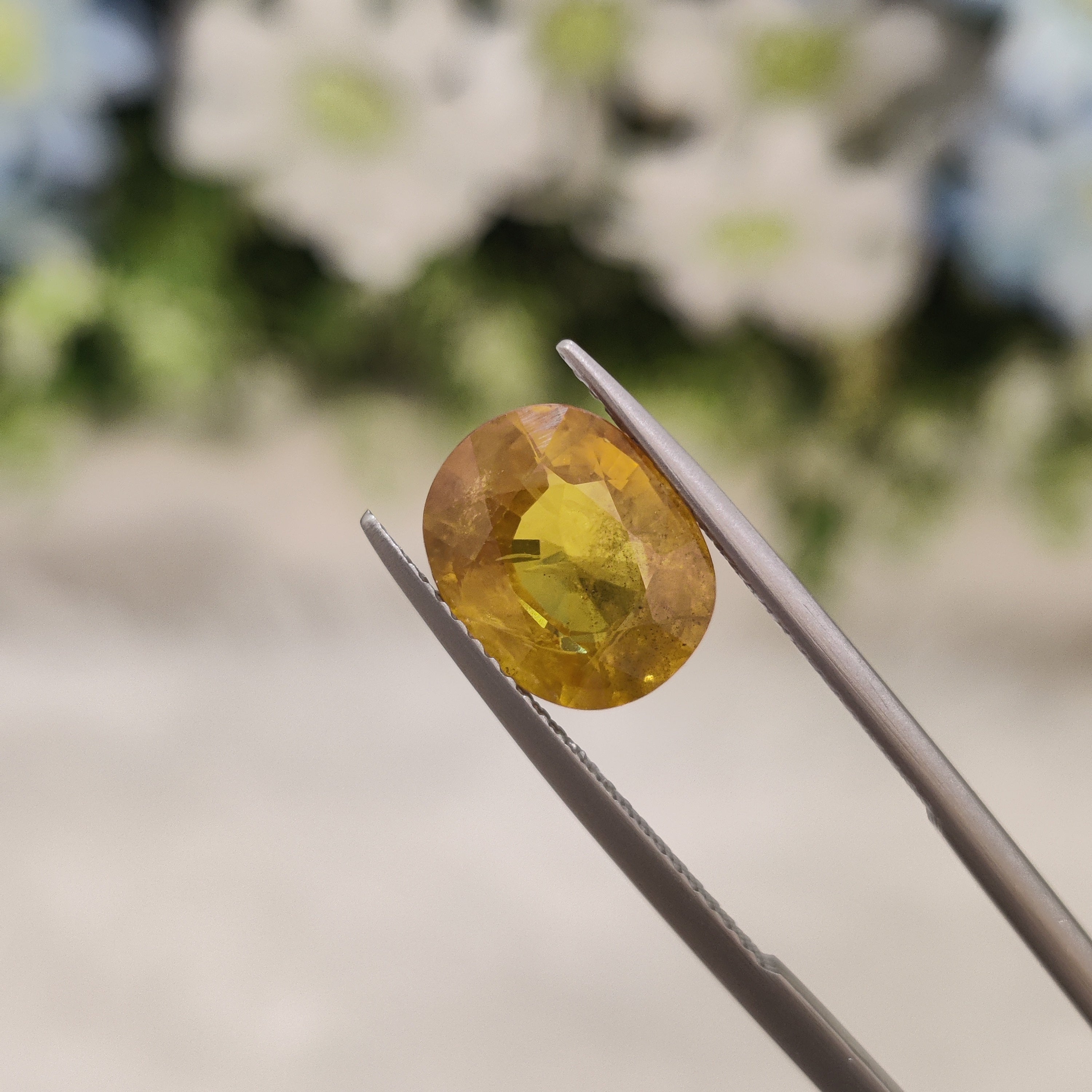 Yellow Sapphire | YS 115 | 4.66 Carat