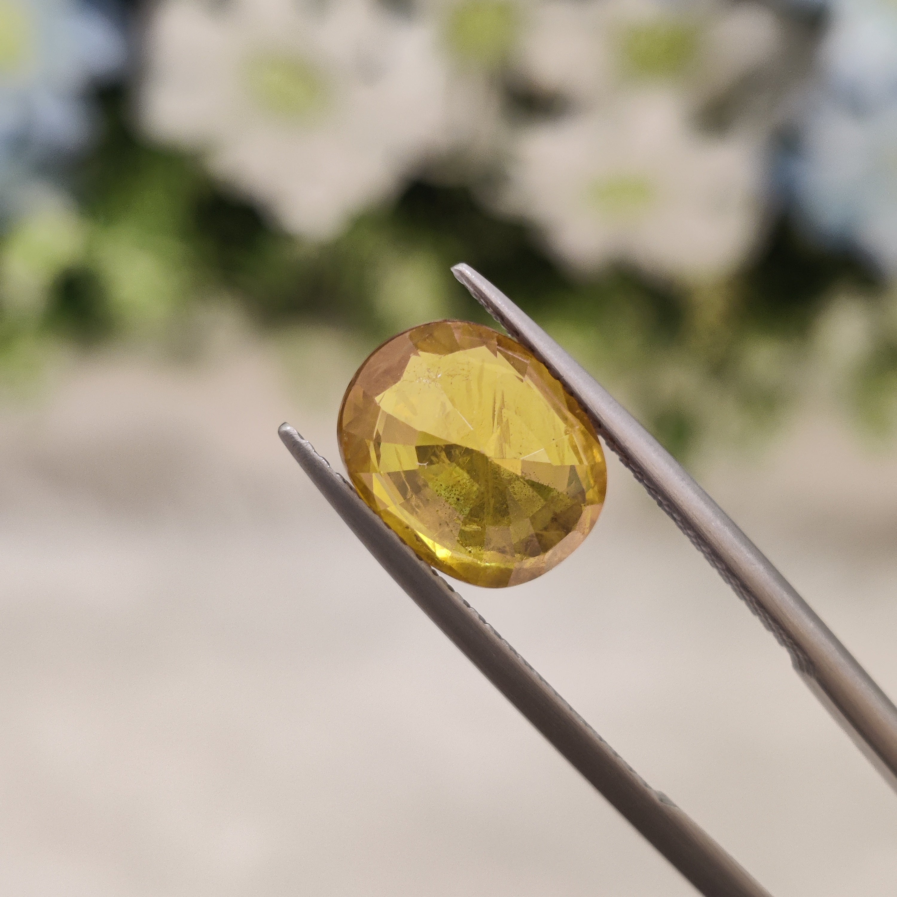 Yellow Sapphire | YS 115 | 4.66 Carat