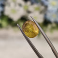 Yellow Sapphire | YS 134 | 4 Carat
