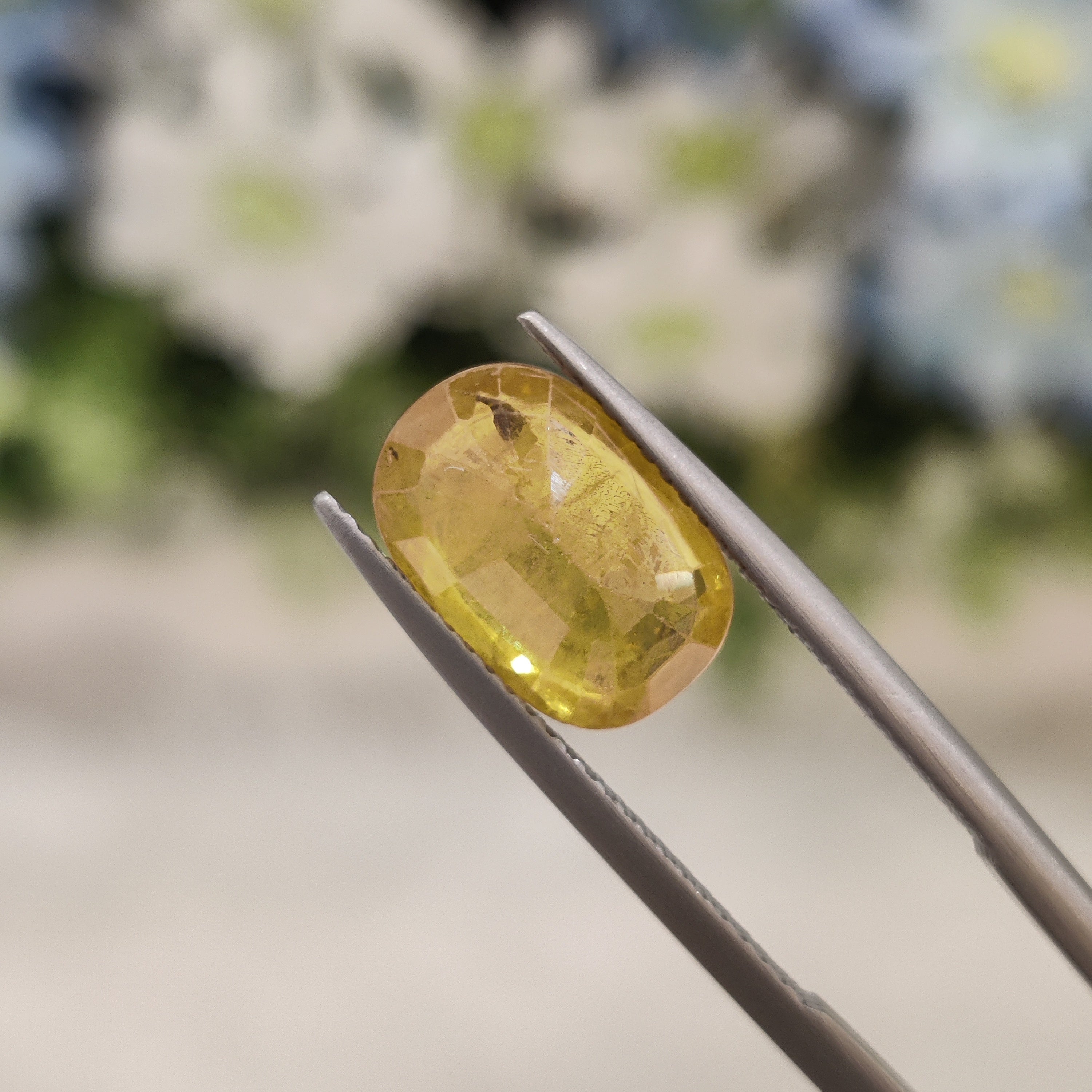 Yellow Sapphire | YS 75 | 4.47 Carat