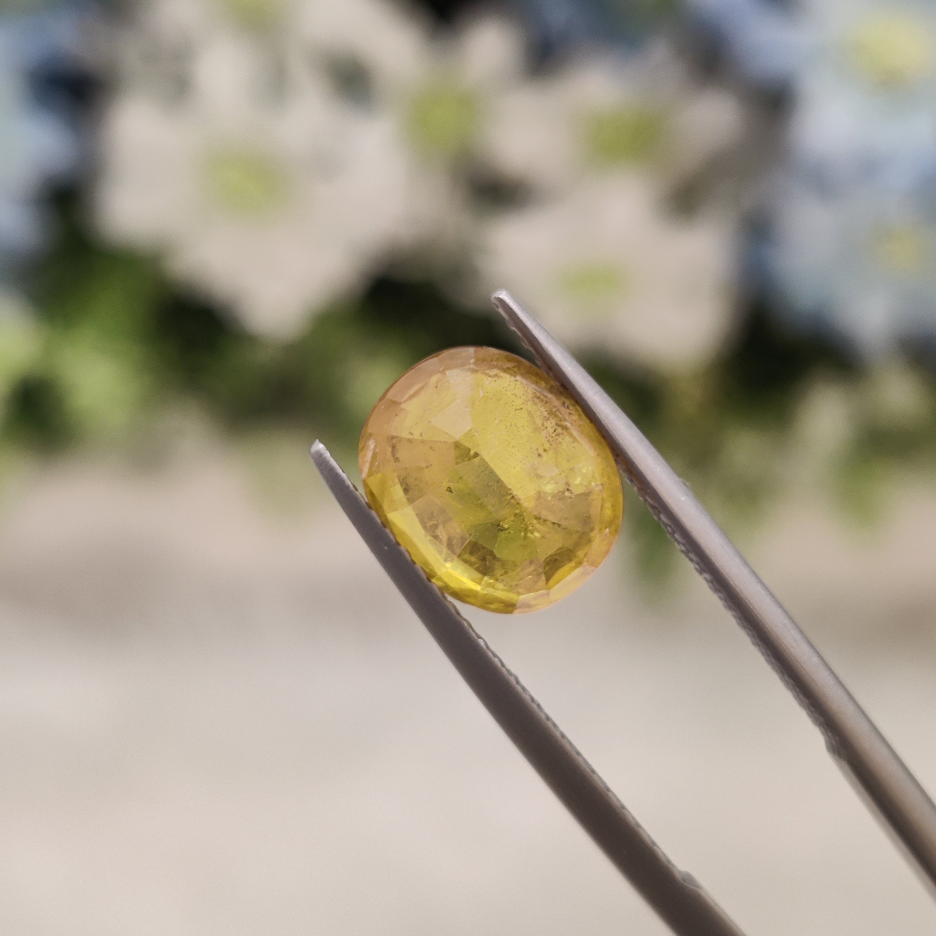 Yellow Sapphire | YS 88 | 4.09 Carat