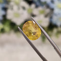 Yellow Sapphire | YS 189 | 4.45 Carat
