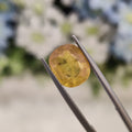 Yellow Sapphire | YS 127 | 4.29 Carat