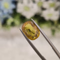 Yellow Sapphire | YS 114 | 4.24 Carat