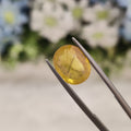Yellow Sapphire | YS 122 | 4.26 Carat
