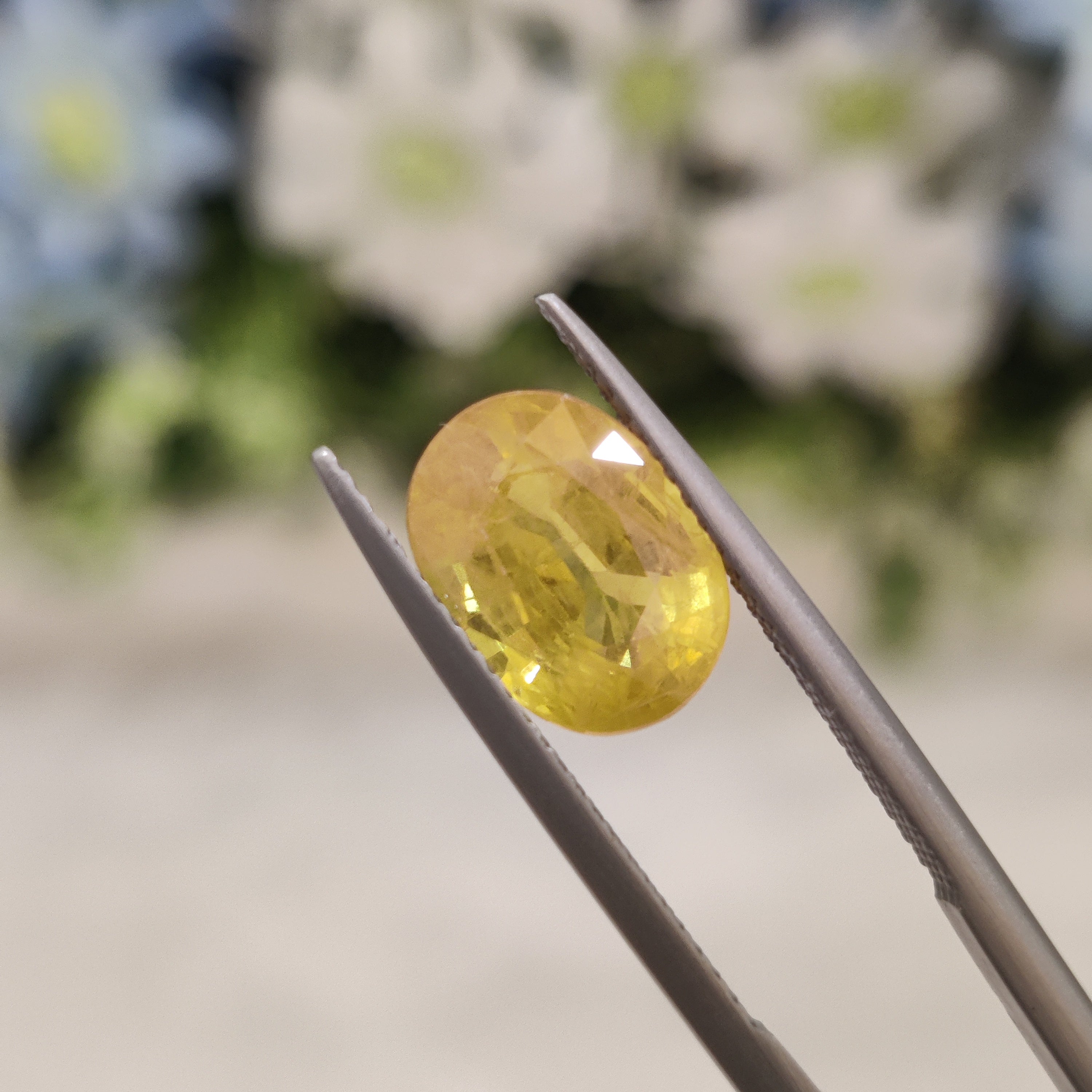 Yellow Sapphire | YS 204 | 4.24 Carat
