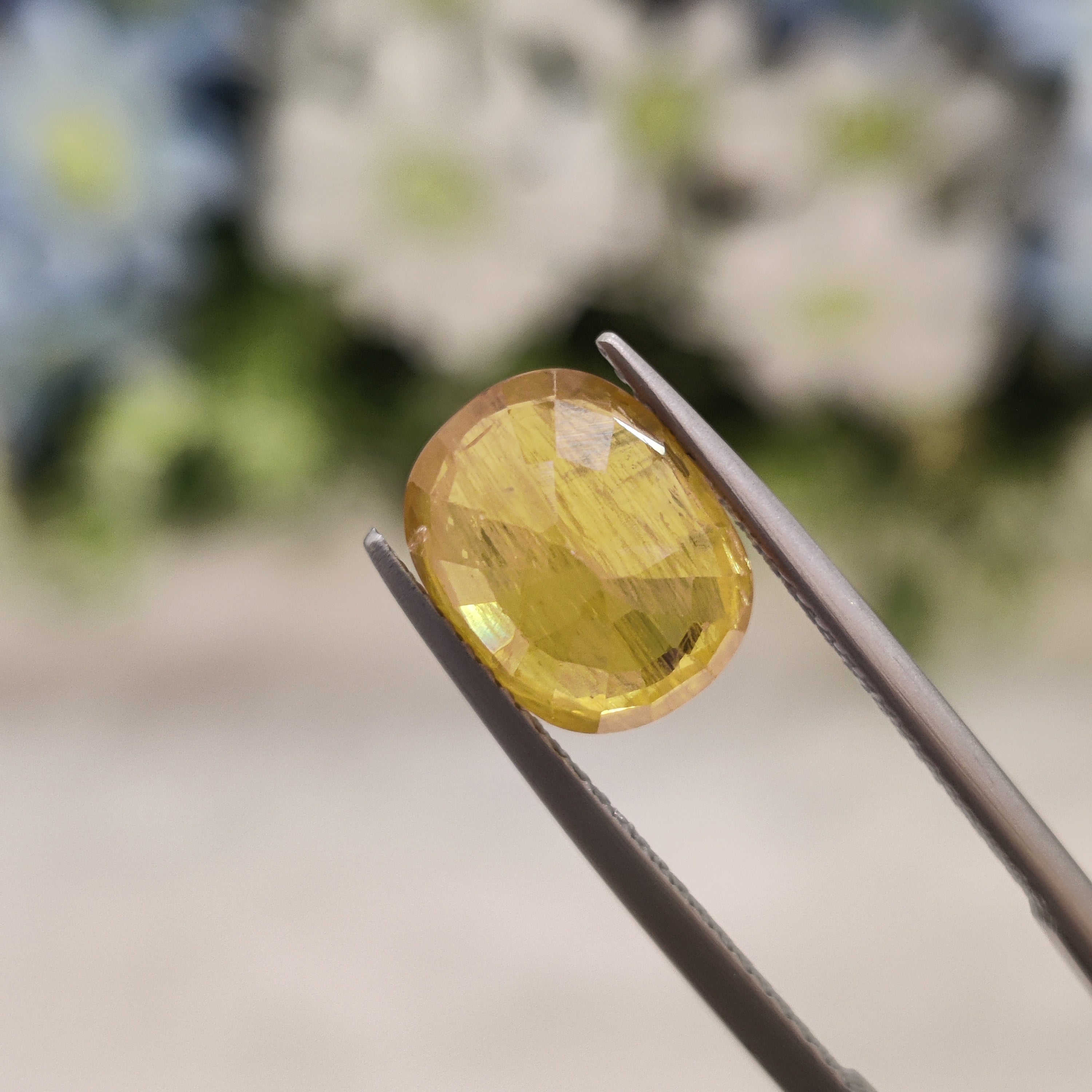 Yellow Sapphire | YS 126 | 4.94 Carat
