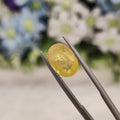 Yellow Sapphire | YS 215 | 4.25 Carat