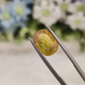 Yellow Sapphire | YS 159 | 4.99 Carat