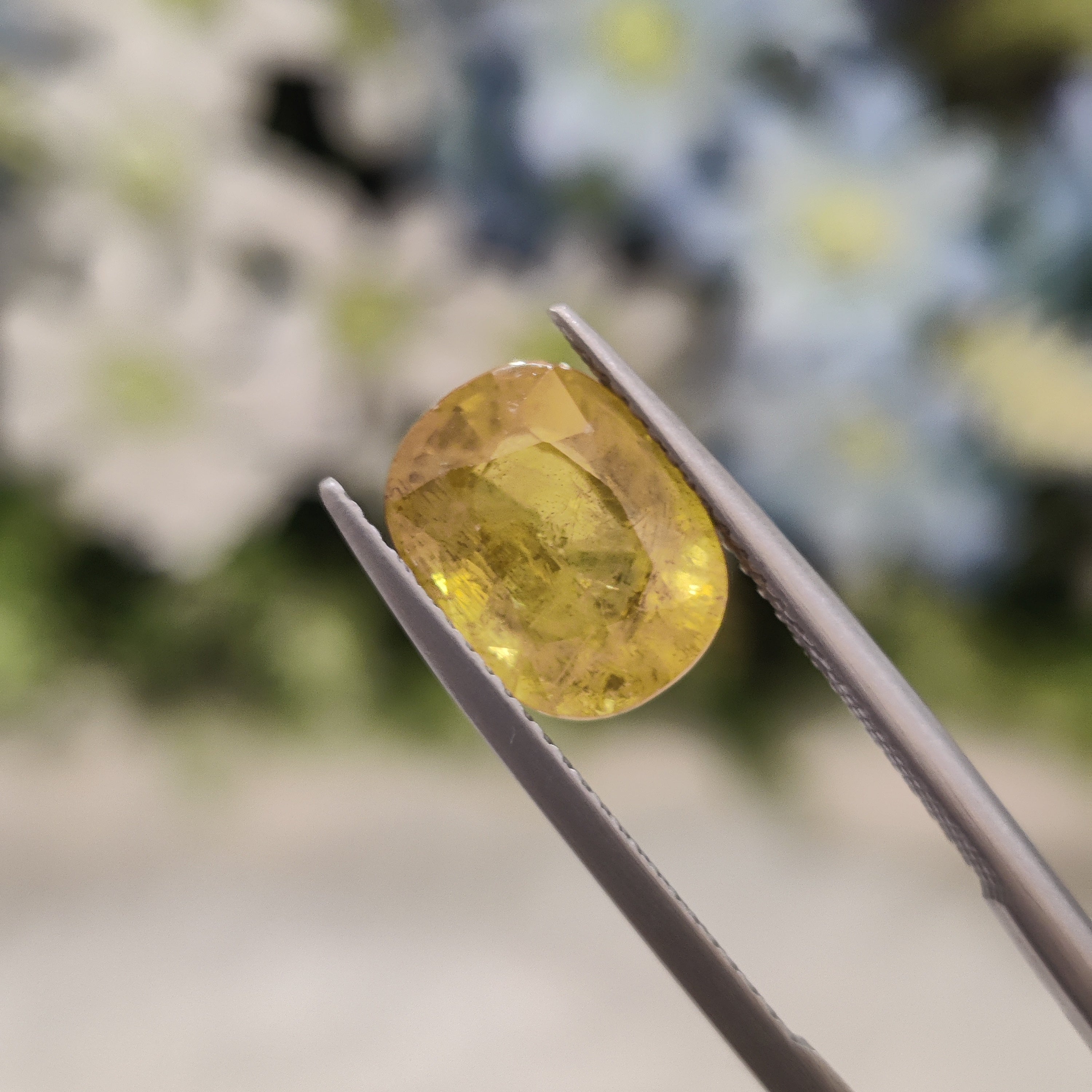 Yellow Sapphire | YS 82 | 4.46 Carat