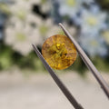 Yellow Sapphire | YS 180 | 4.58 Carat
