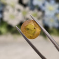 Yellow Sapphire | YS 106 | 4.64 Carat
