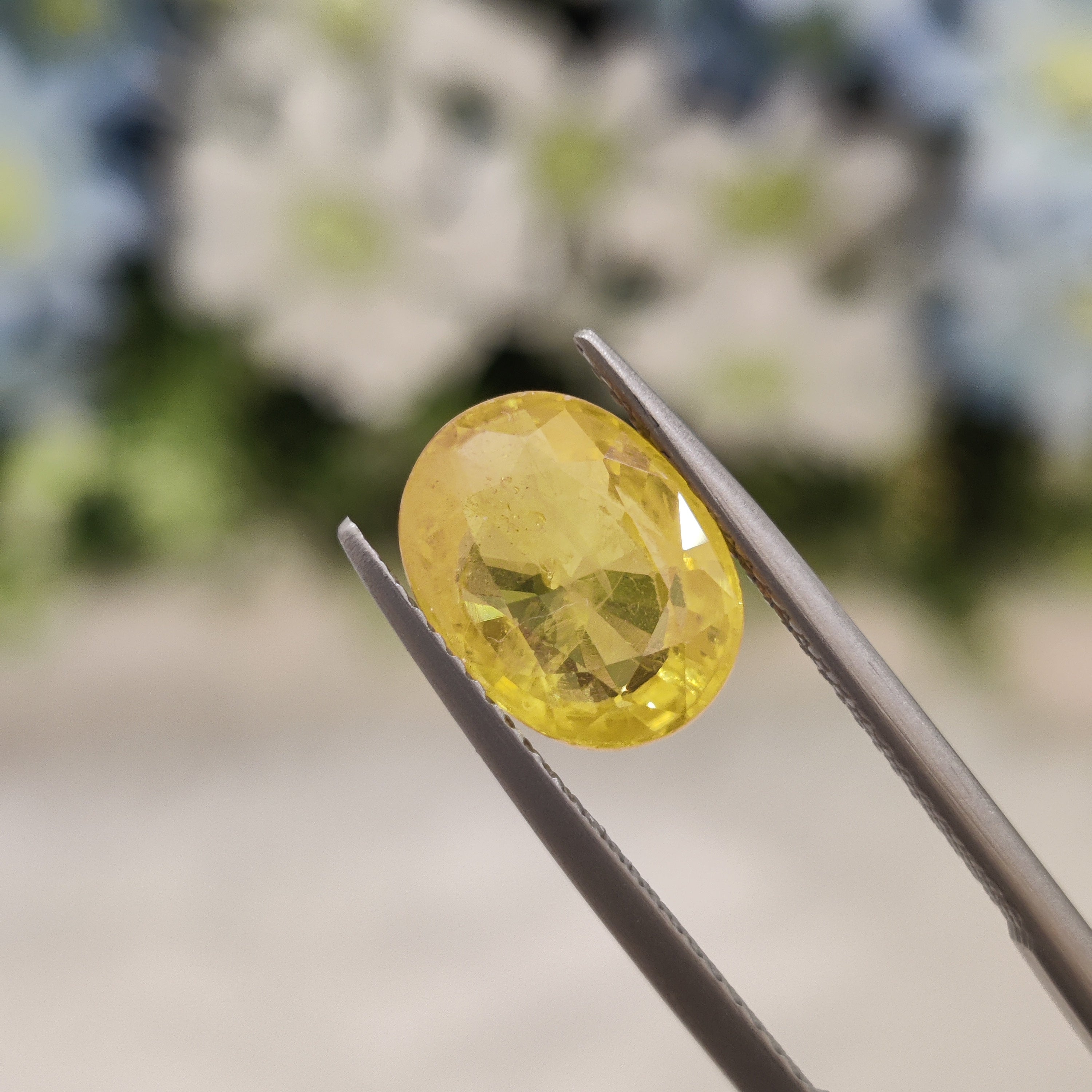 Yellow Sapphire | YS 213 | 4.52 Carat