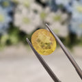 Yellow Sapphire | YS 206 | 4.77 Carat