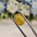 Yellow Sapphire | YS 80 | 4.72 Carat