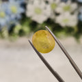 Yellow Sapphire | YS 53 | 5.7 Carat