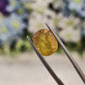 Yellow Sapphire | YS 96 | 5.13 Carat
