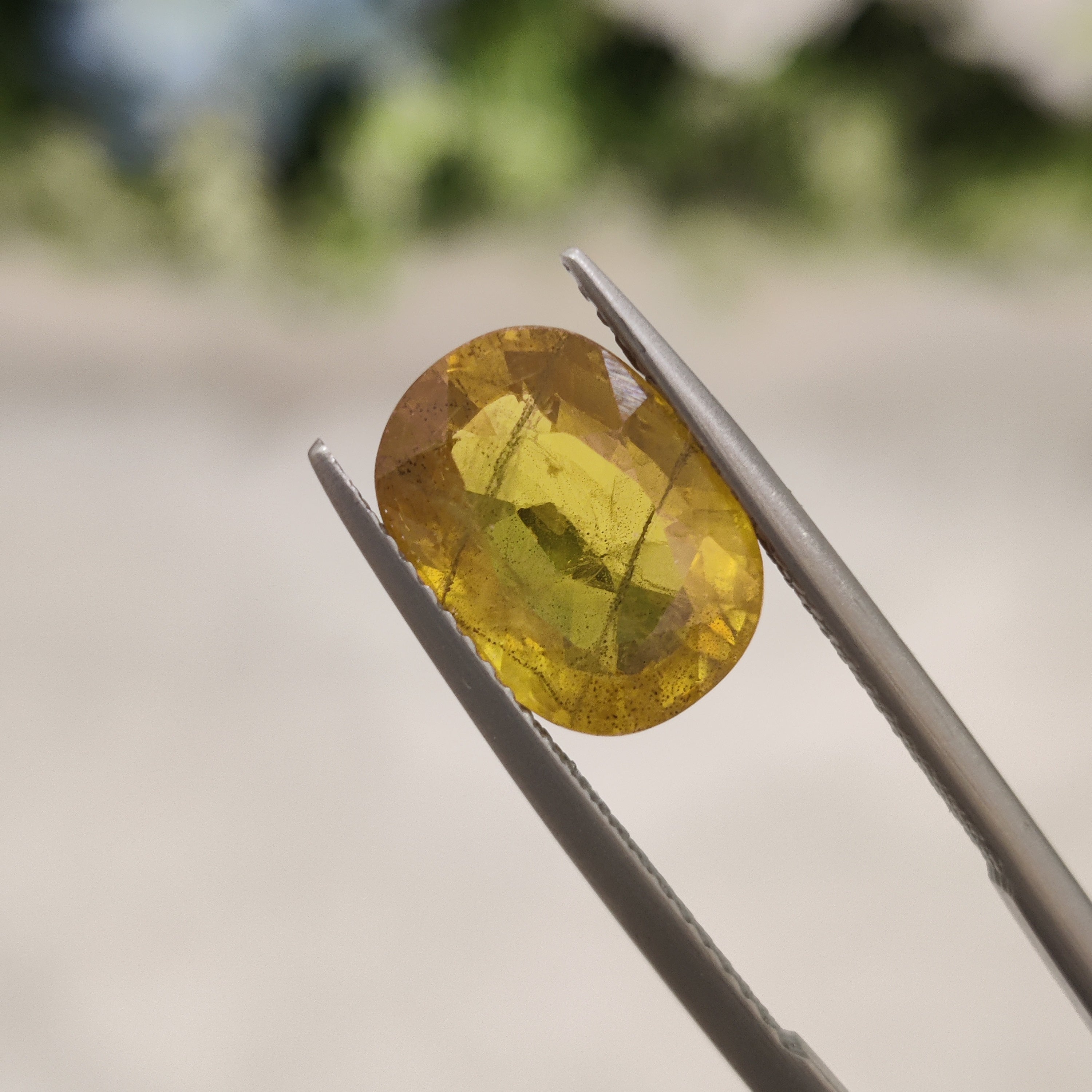 Yellow Sapphire | YS 165 | 5.66 Carat