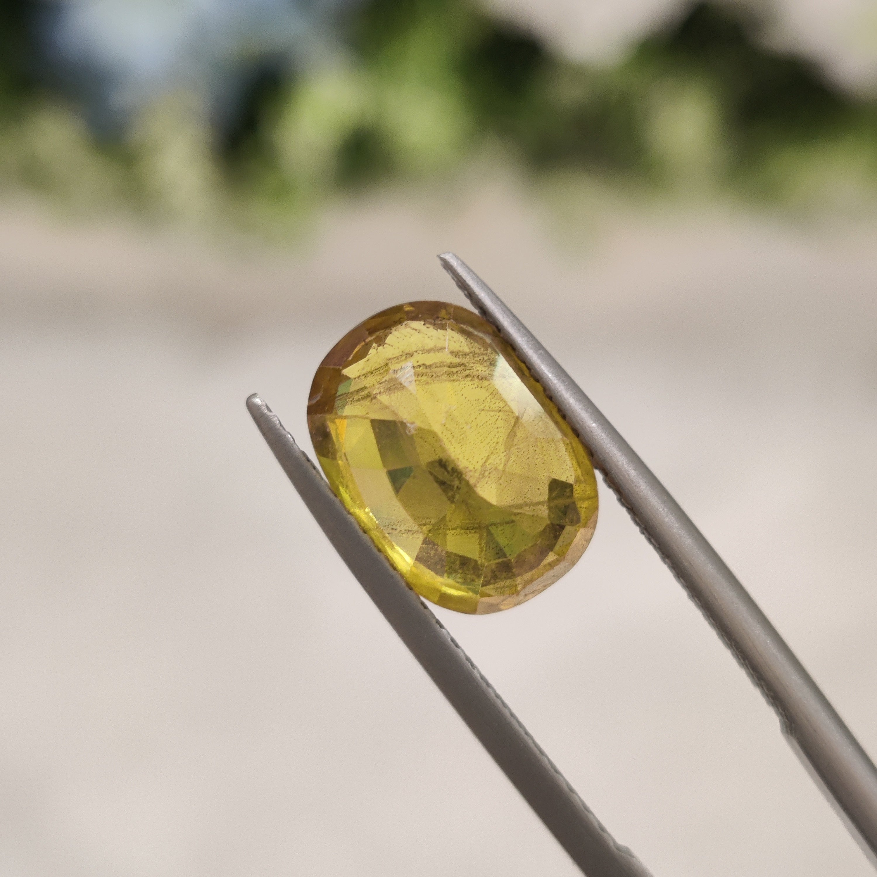 Yellow Sapphire | YS 165 | 5.66 Carat