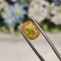 Yellow Sapphire | YS 123 | 5.41 Carat