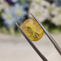 Yellow Sapphire | YS 107 | 5.14 Carat