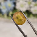 Yellow Sapphire | YS 138 | 5.59 Carat