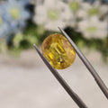 Yellow Sapphire | YS 192 | 5.74 Carat