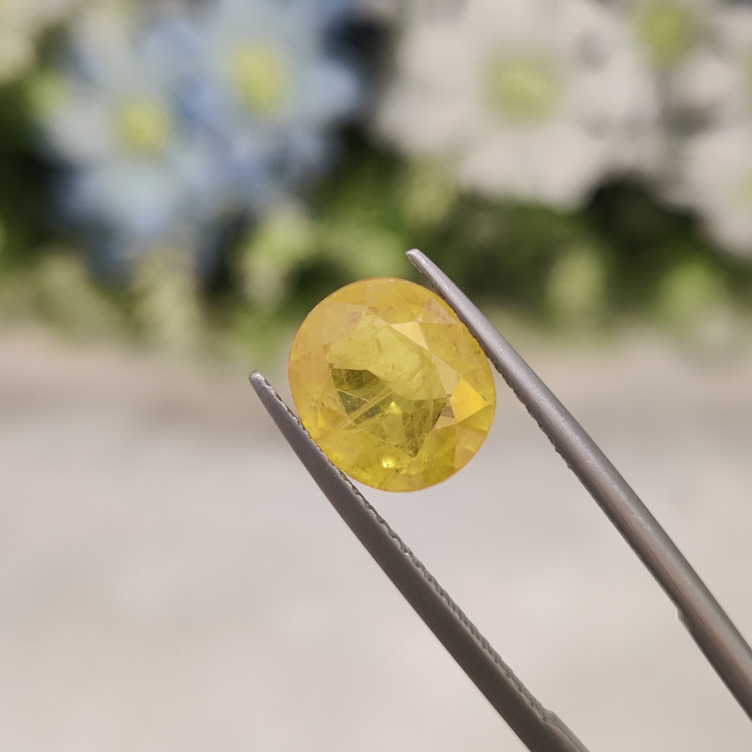 Yellow Sapphire | YS 209 | 5.63 Carat
