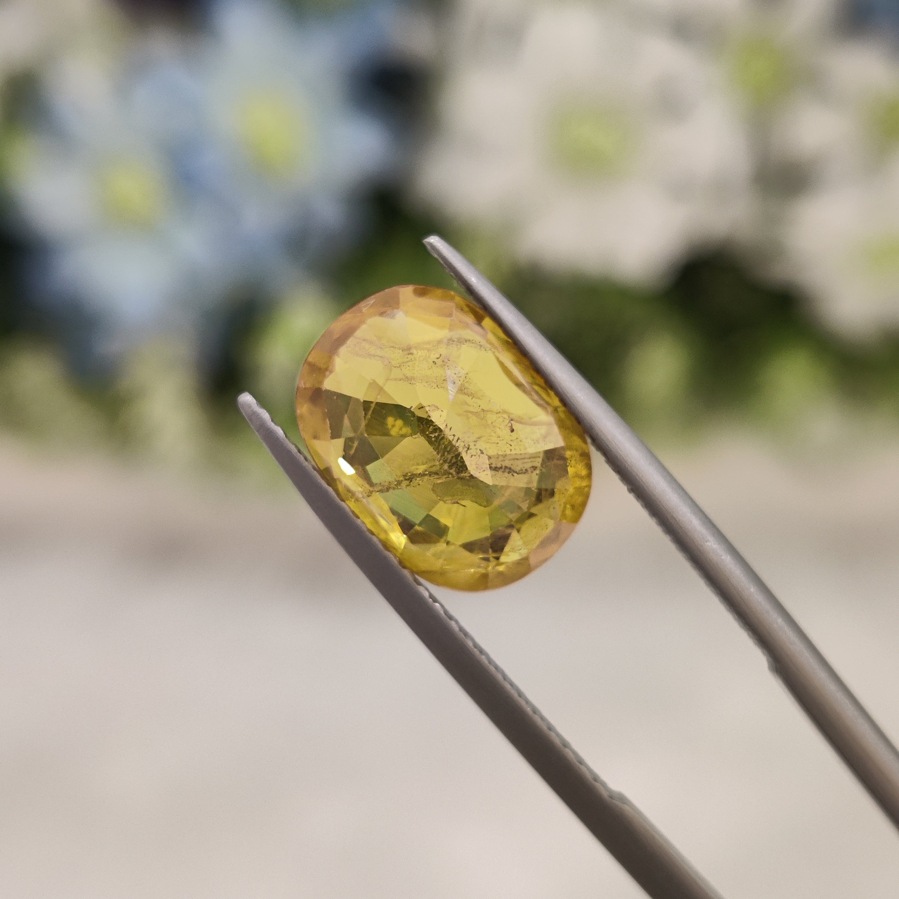 Yellow Sapphire | YS 160 | 5.34 Carat