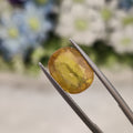 Yellow Sapphire | YS 153 | 5.3 Carat