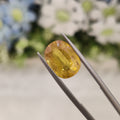 Yellow Sapphire | YS 157 | 5.72 Carat