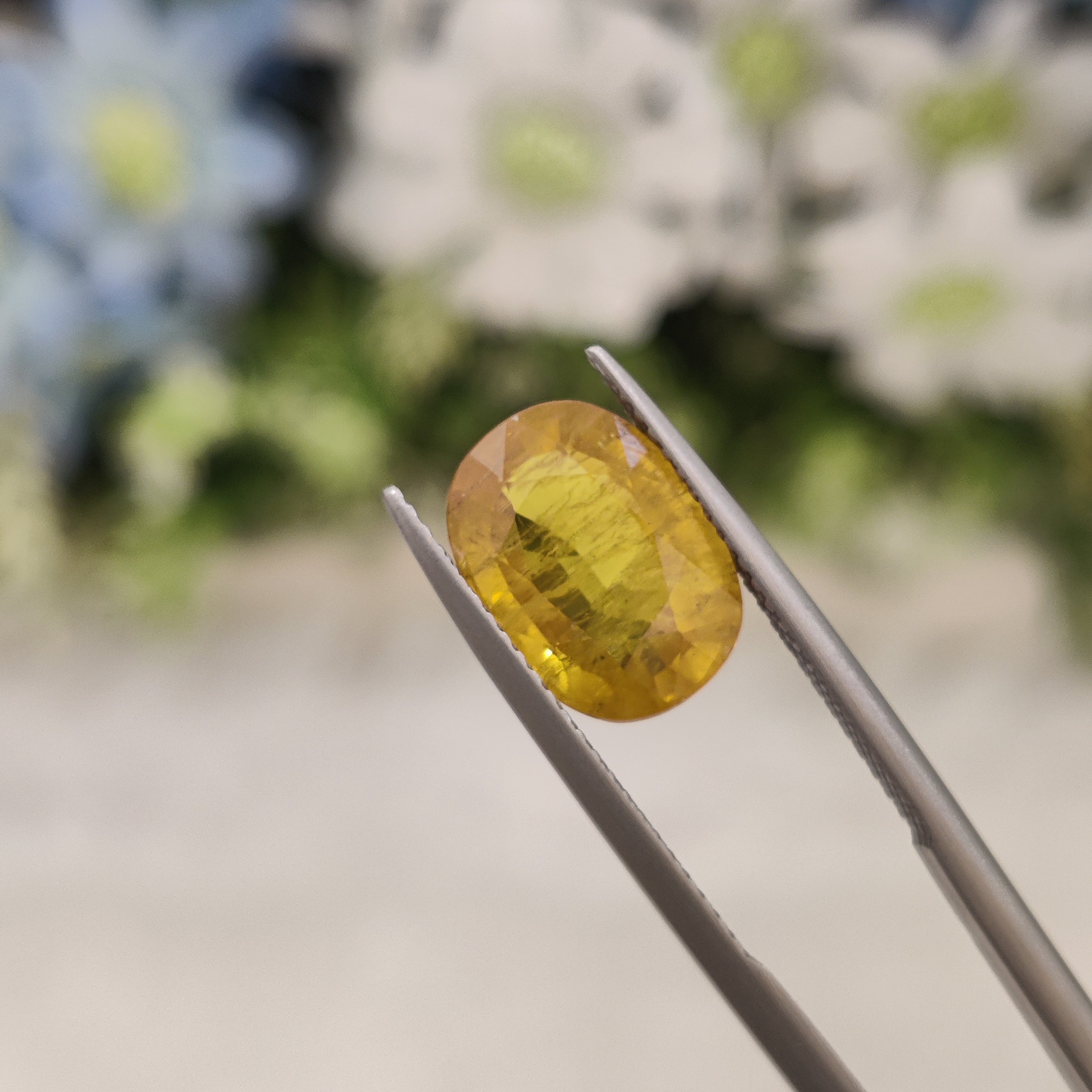 Yellow Sapphire | YS 167 | 5.64 Carat