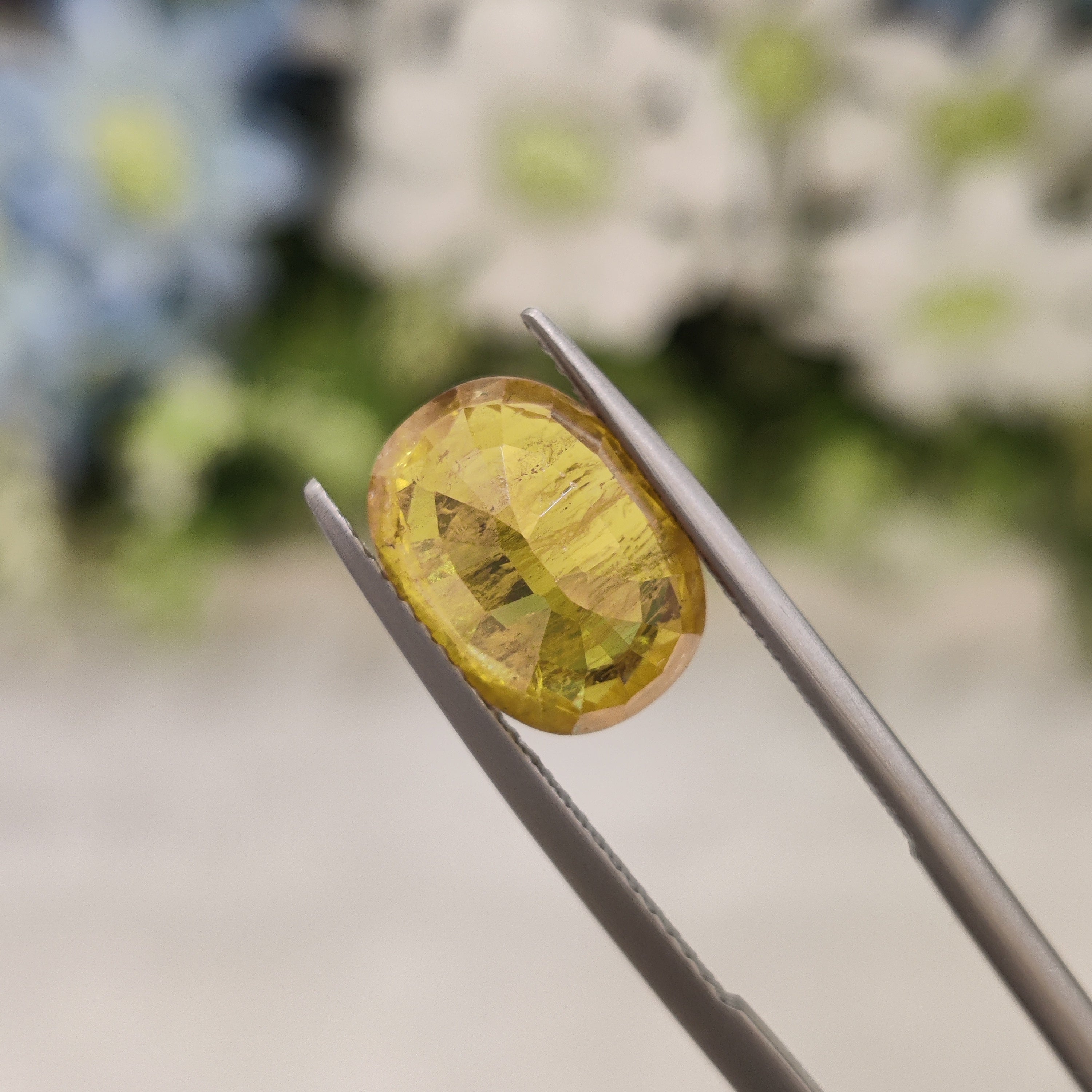 Yellow Sapphire | YS 167 | 5.64 Carat