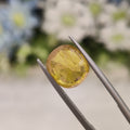 Yellow Sapphire | YS 135 | 5.67 Carat