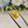 Yellow Sapphire | YS 184 | 5.46 Carat