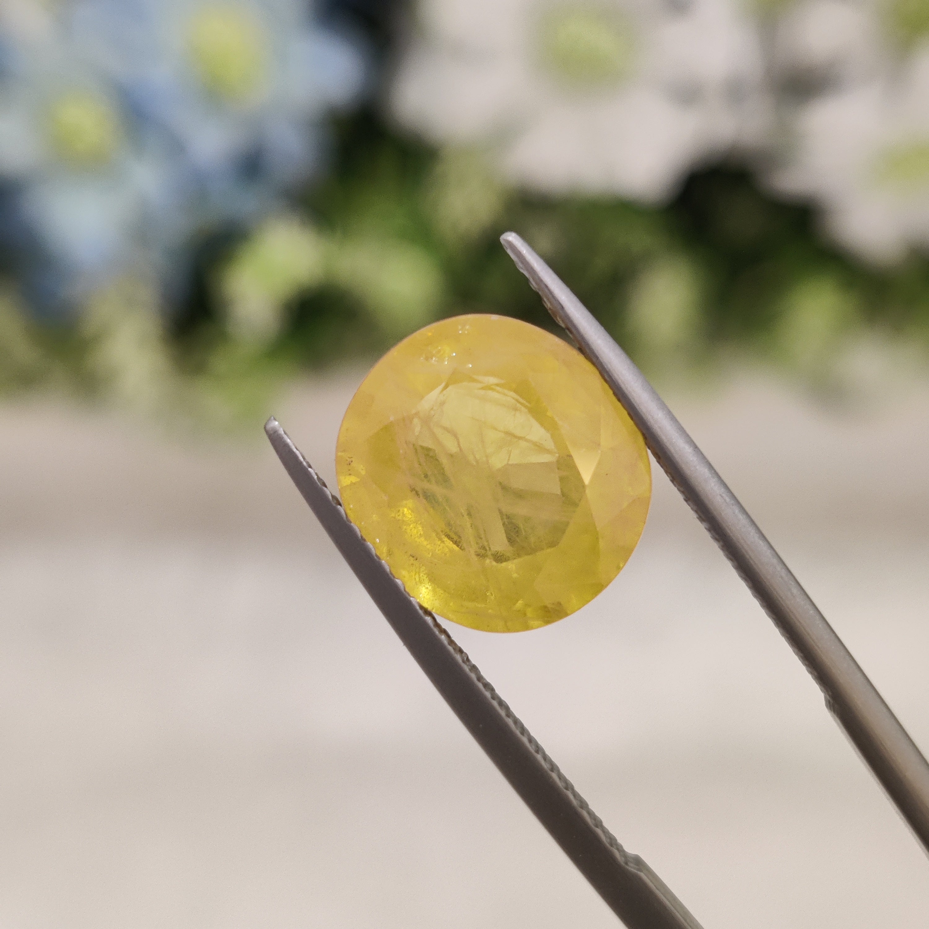 Yellow Sapphire | YS 12 | 6.45 Carat