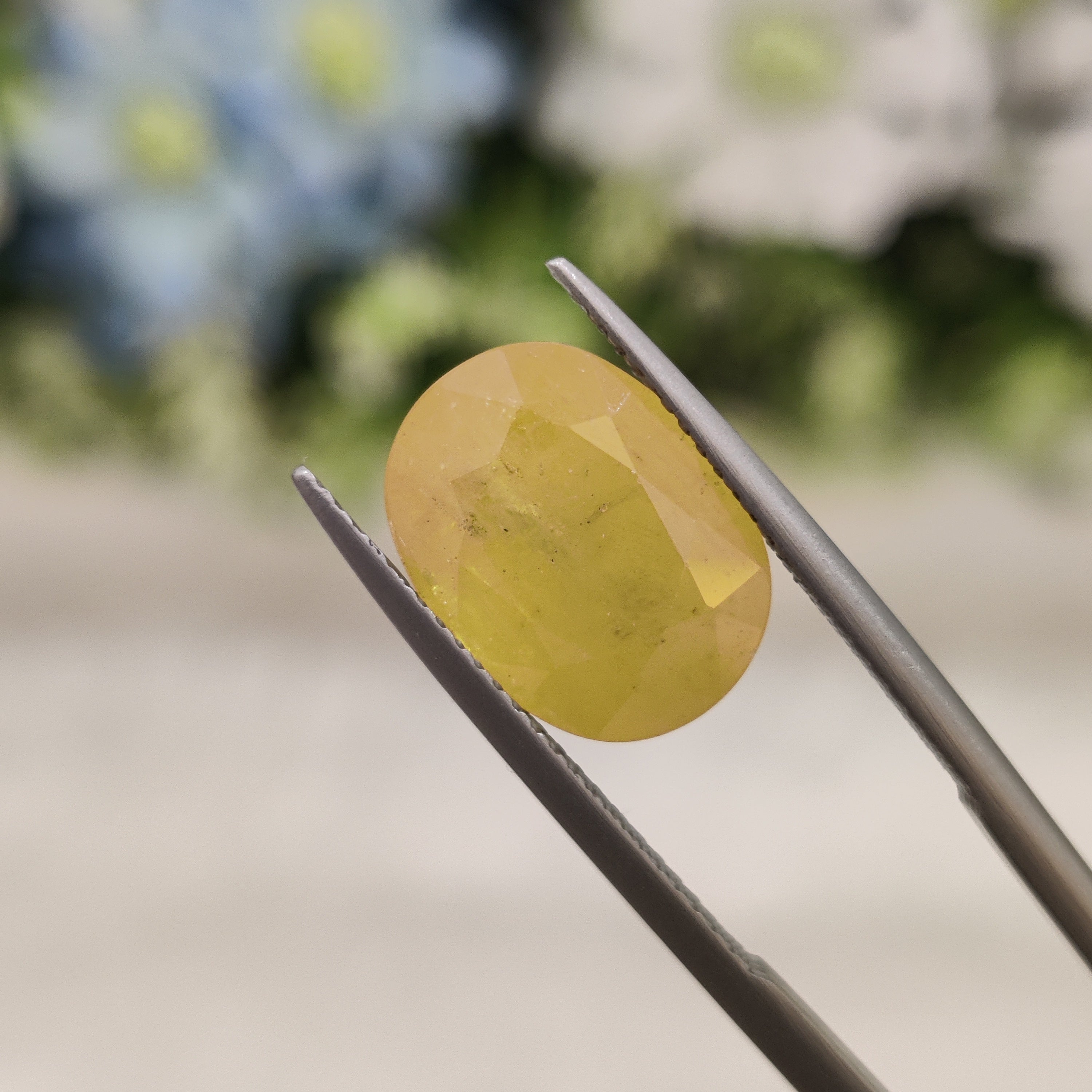 Yellow Sapphire | YS 24 | 7.63 Carat