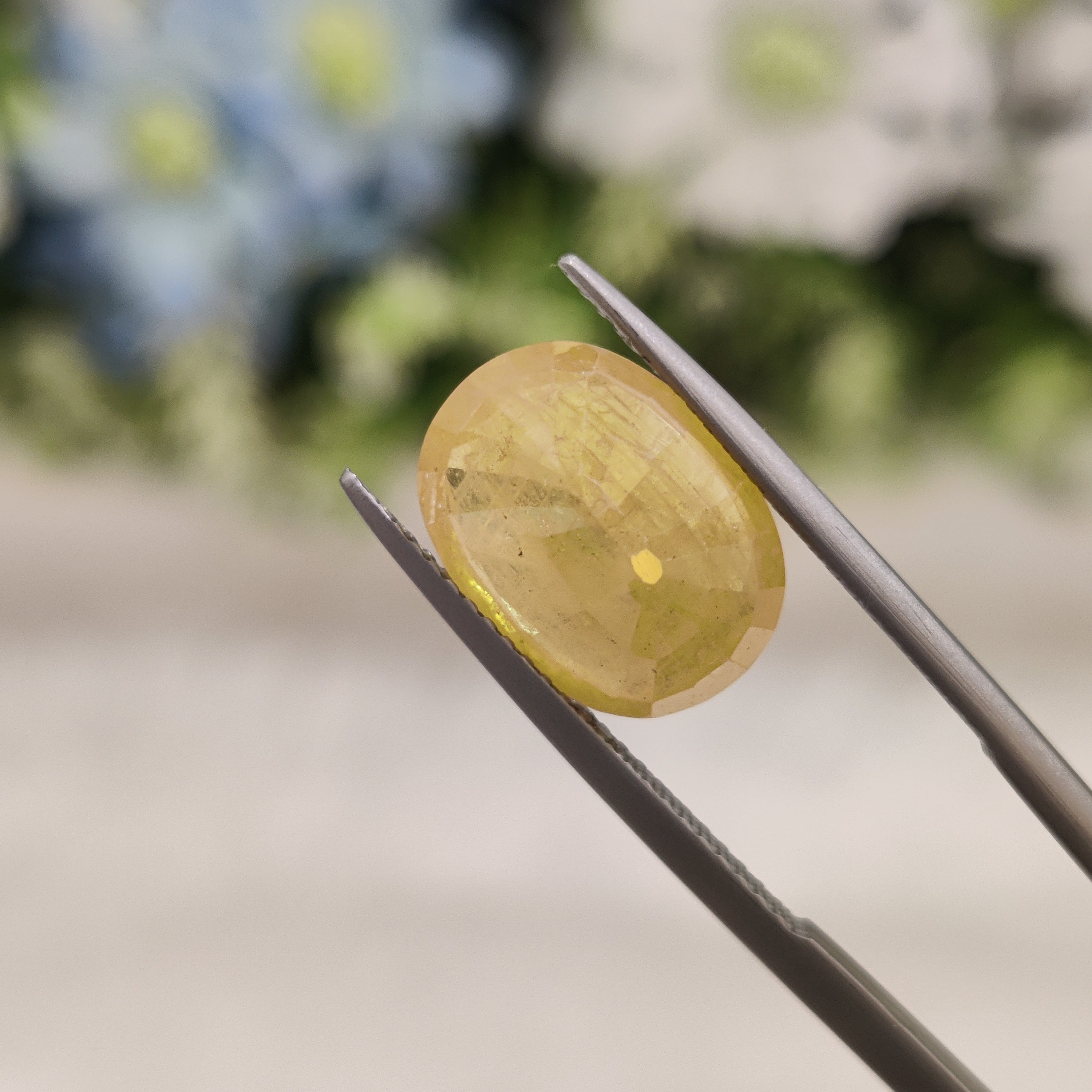 Yellow Sapphire | YS 24 | 7.63 Carat